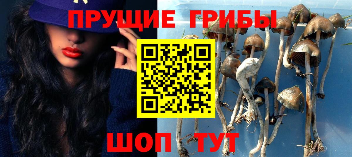 Дмитров  Галлюциногенные грибы мухоморы  Вход с VPN 