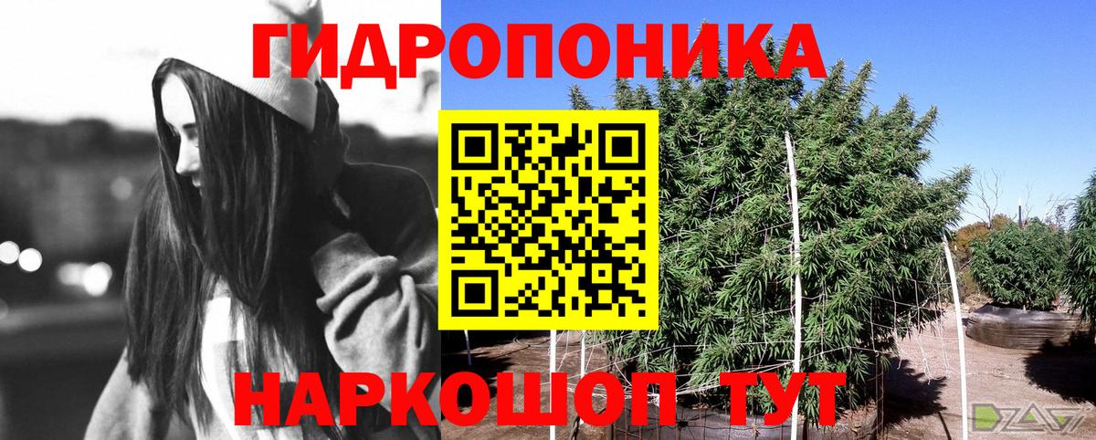Канабис Amnesia Дмитров